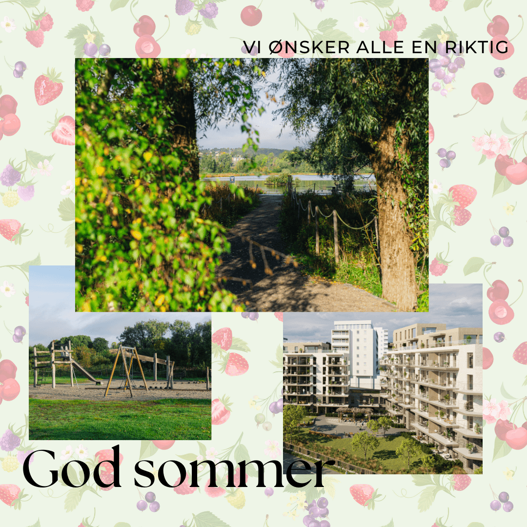 Et bilde som er lagt til i innlegget.